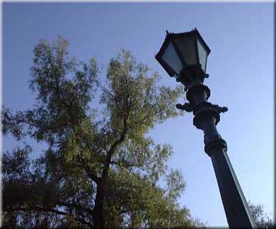 Петербургский фонарь